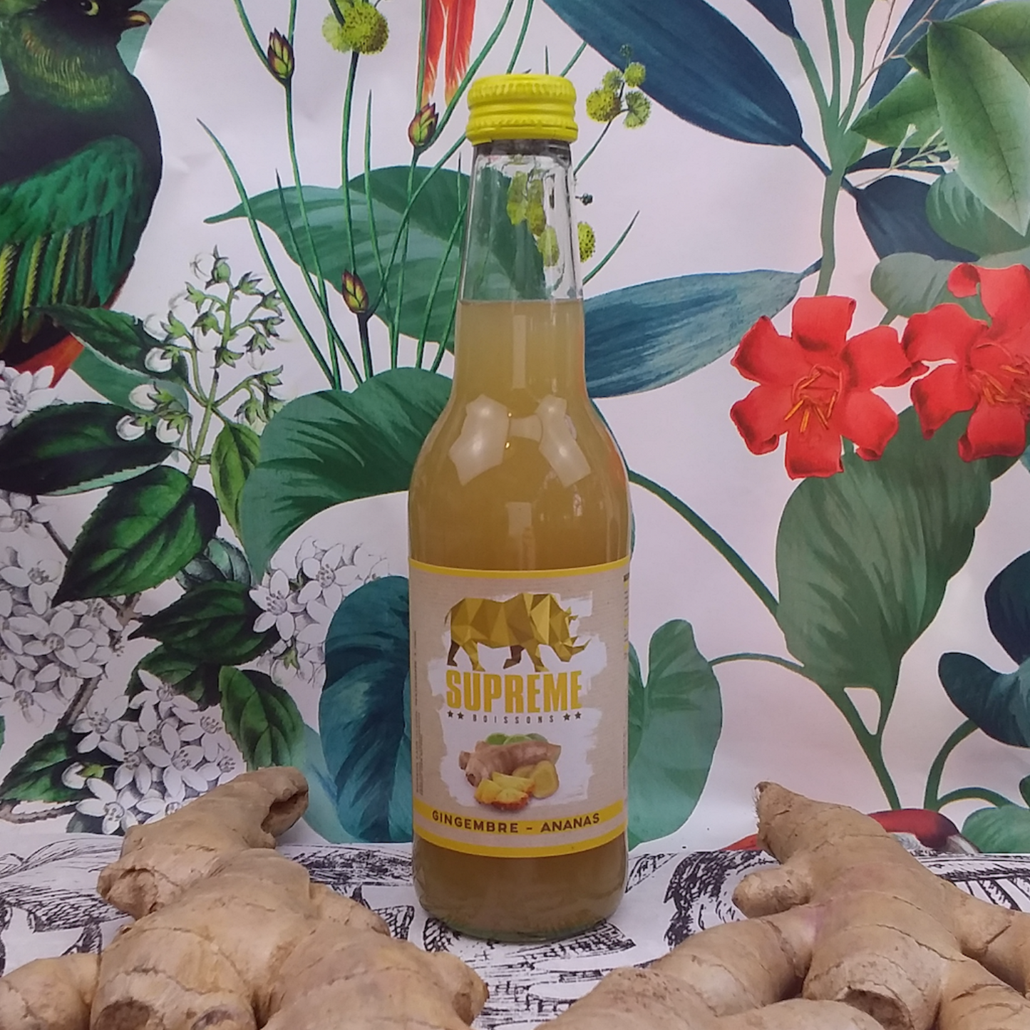 SUPRÊME GINGEMBRE / ANANAS - 33cl - BIO