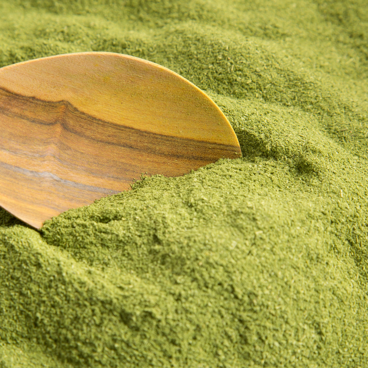 POUDRE DE MORINGA - 1kg